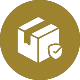 Insured local courier icon